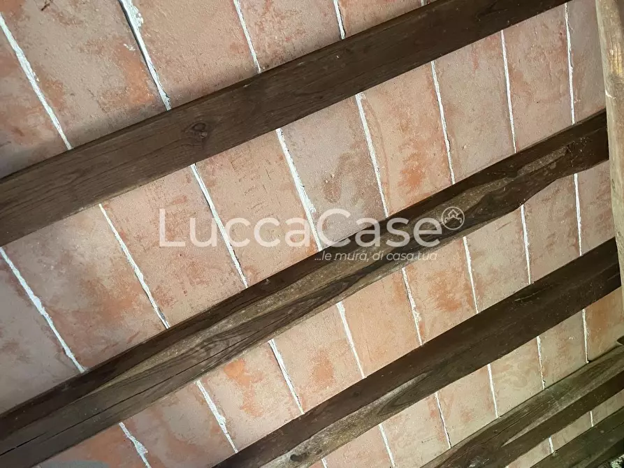 Immagine 34 di Terratetto in vendita  a Capannori