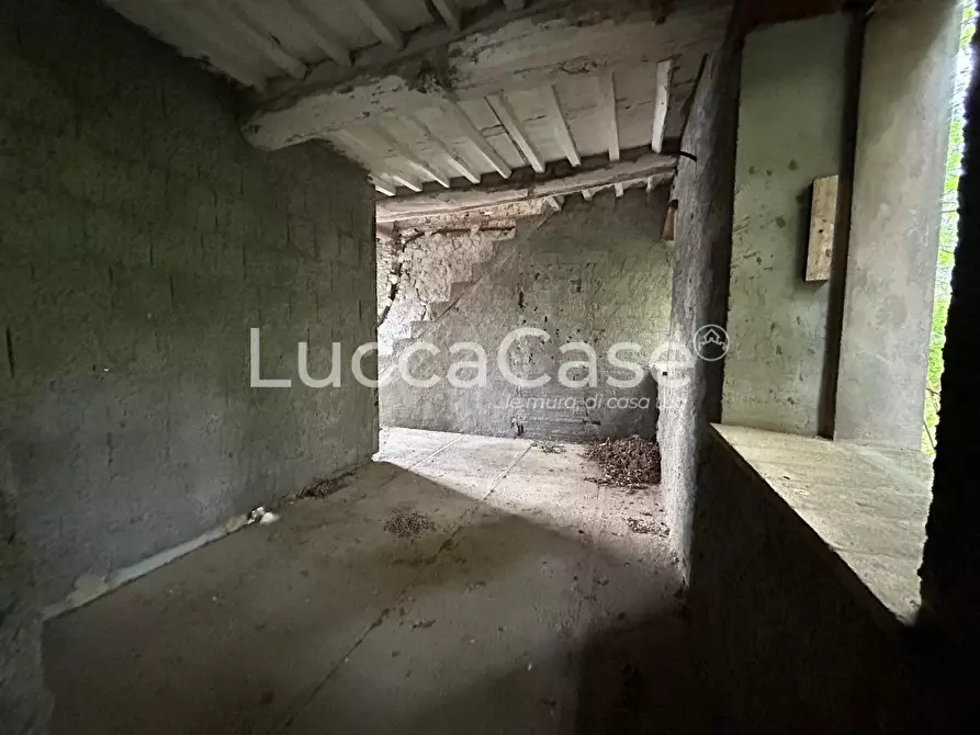 Immagine 22 di Terratetto in vendita  a Capannori