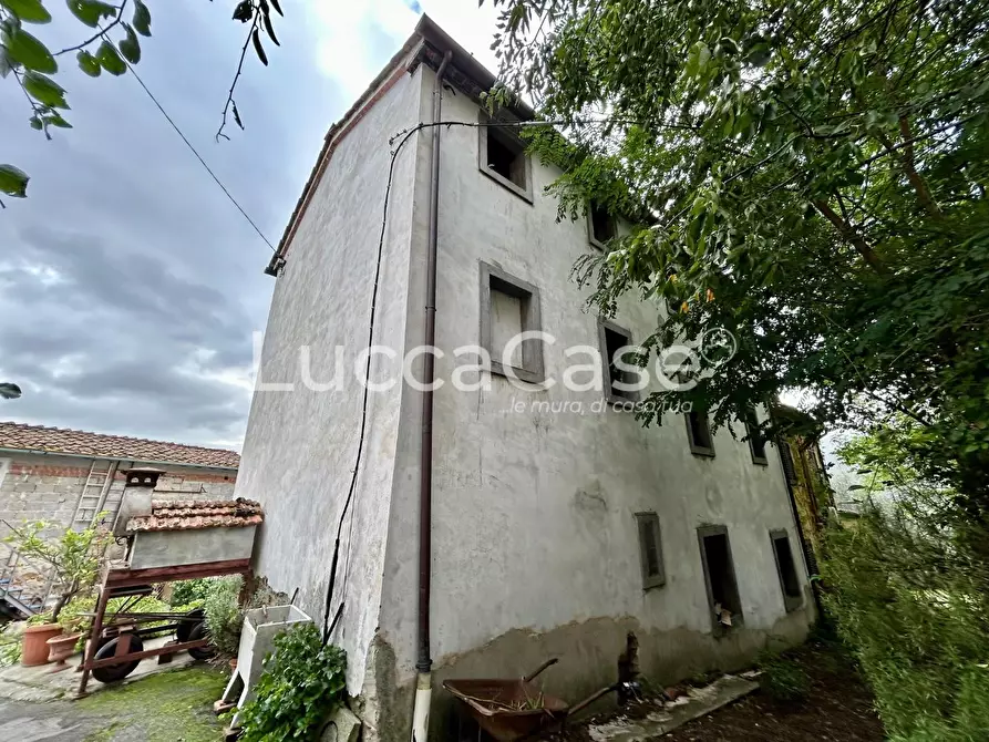 Immagine 5 di Terratetto in vendita  a Capannori