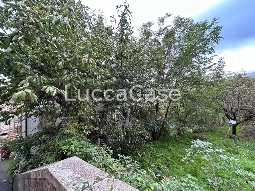 Immagine 32 di Terratetto in vendita  a Capannori