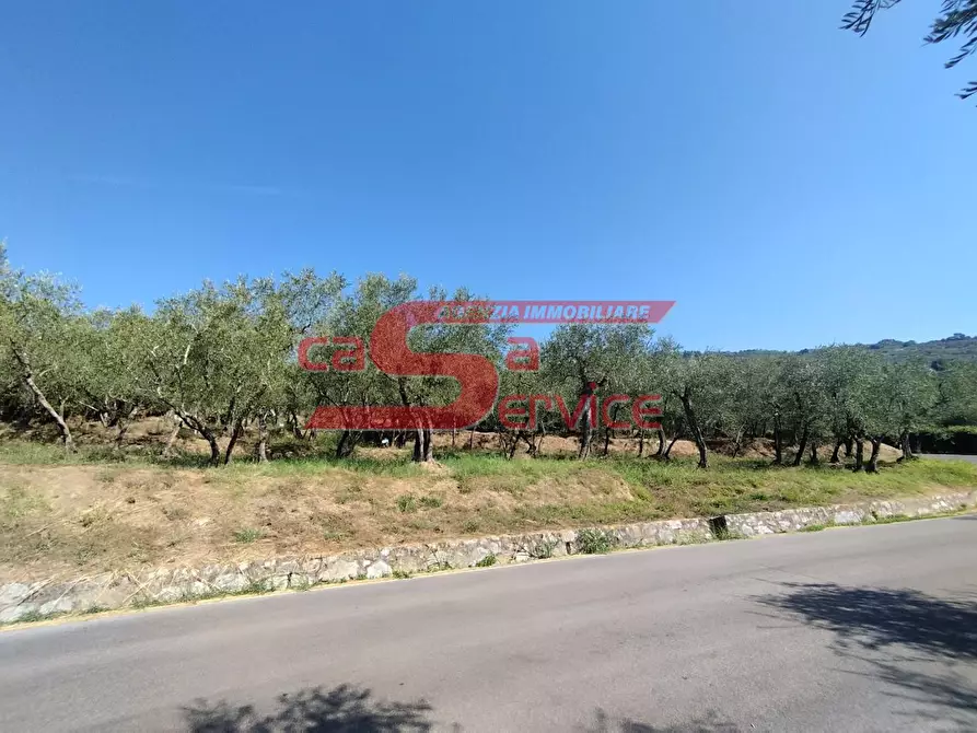 Immagine 4 di Terreno agricolo in vendita  a Uzzano