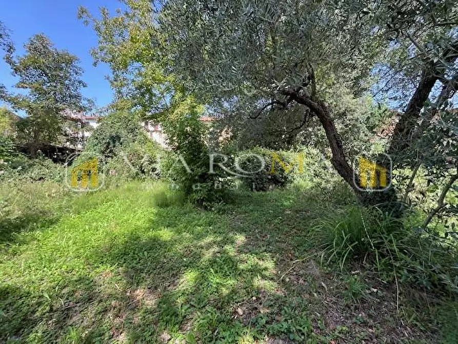 Immagine 13 di Casa bifamiliare in vendita  a Lucca