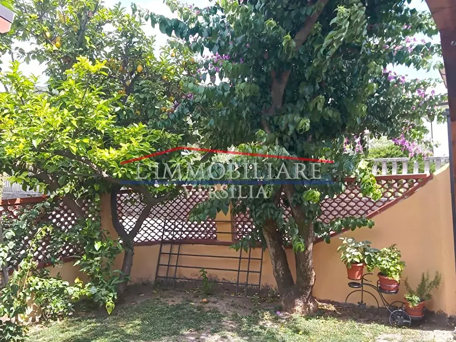 Immagine 6 di Casa bifamiliare in vendita  a Montignoso