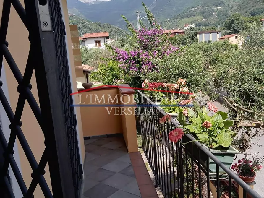 Immagine 26 di Casa bifamiliare in vendita  a Montignoso