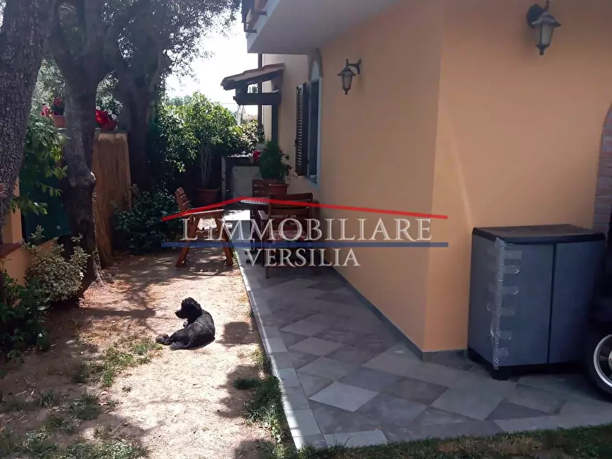 Immagine 3 di Casa bifamiliare in vendita  a Montignoso