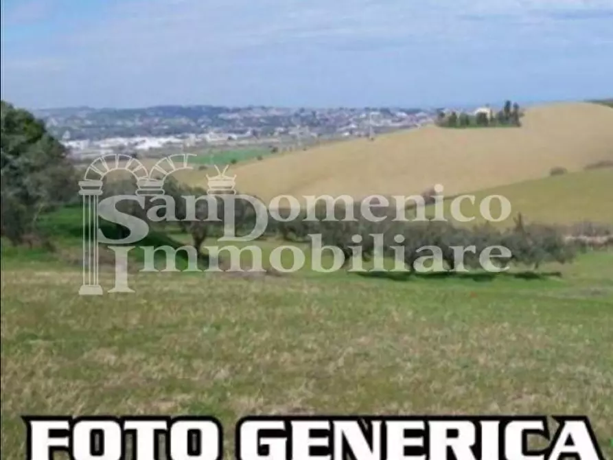 Immagine 1 di Terreno agricolo in vendita  a Cascina