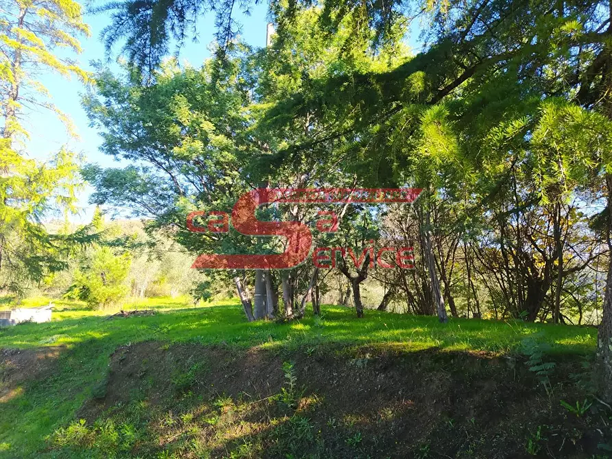Immagine 5 di Villa in vendita  a Monsummano Terme