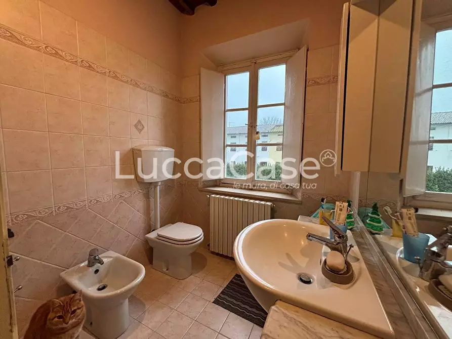 Immagine 32 di Casa indipendente in vendita  a Porcari