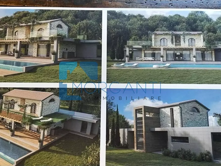 Immagine 4 di Terreno residenziale in vendita  a Pietrasanta