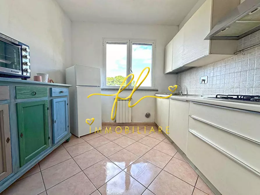 Immagine 5 di Appartamento in vendita  a Cecina