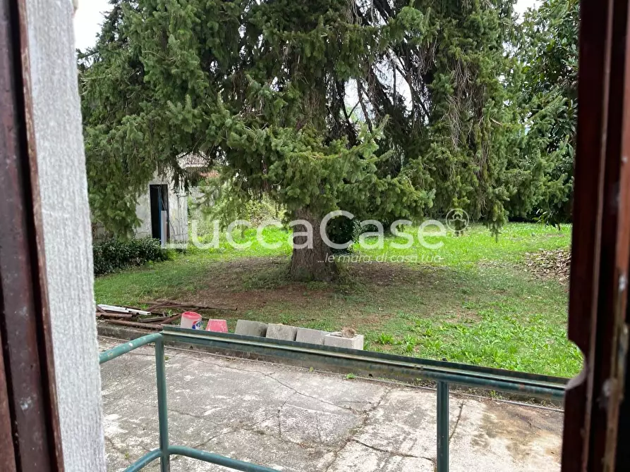 Immagine 9 di Villa in vendita  a Lucca