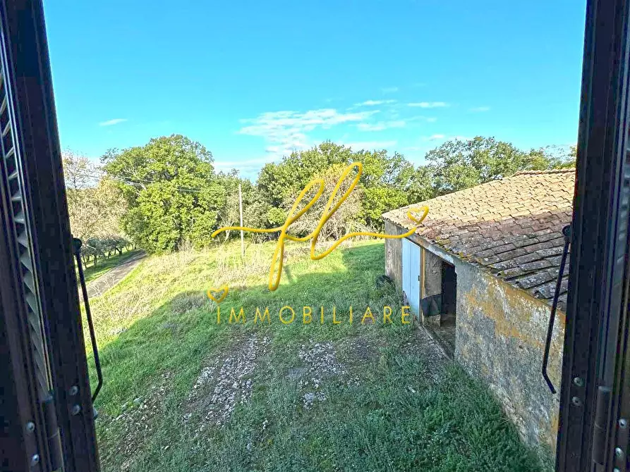 Immagine 28 di Casa colonica in vendita  a Pomarance