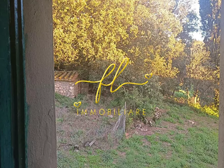 Immagine 21 di Casa colonica in vendita  a Pomarance