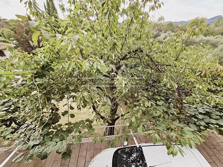 Immagine 12 di Casa indipendente in vendita  a Massa