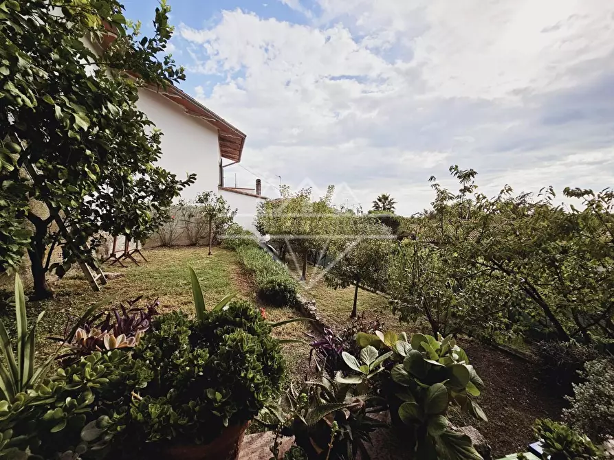 Immagine 2 di Casa indipendente in vendita  a Massa