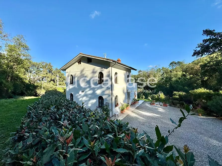 Immagine 7 di Villa in vendita  a Capannori