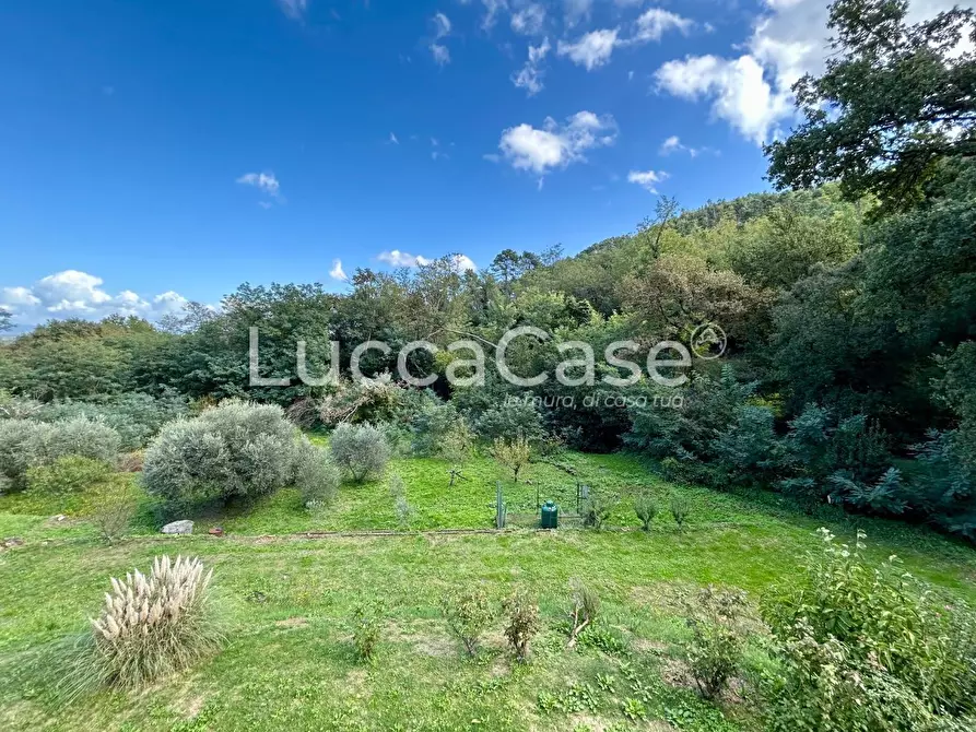 Immagine 5 di Villa in vendita  a Capannori