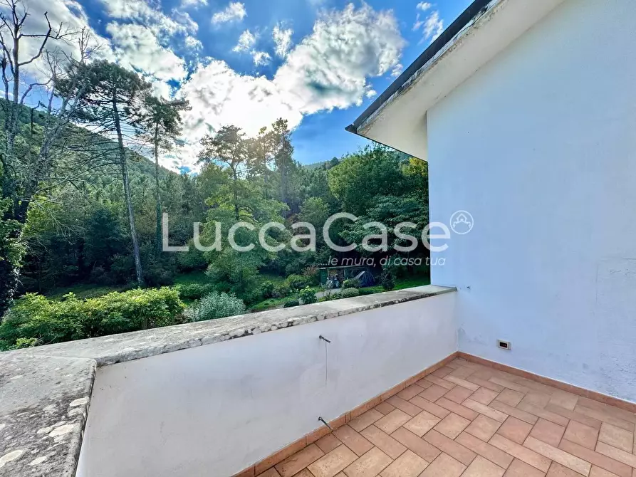 Immagine 54 di Villa in vendita  a Capannori