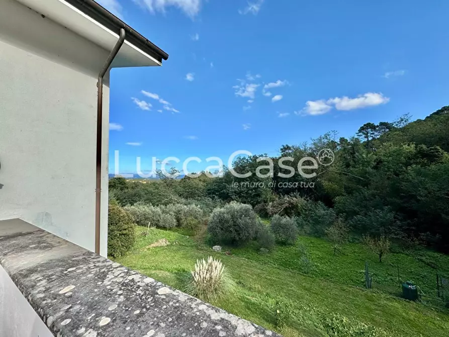 Immagine 53 di Villa in vendita  a Capannori