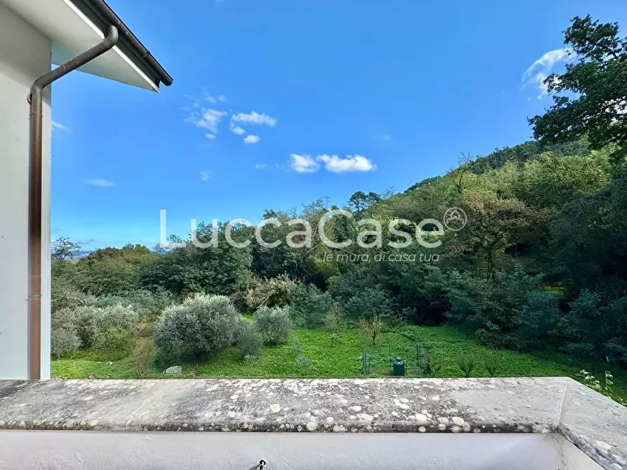 Immagine 52 di Villa in vendita  a Capannori