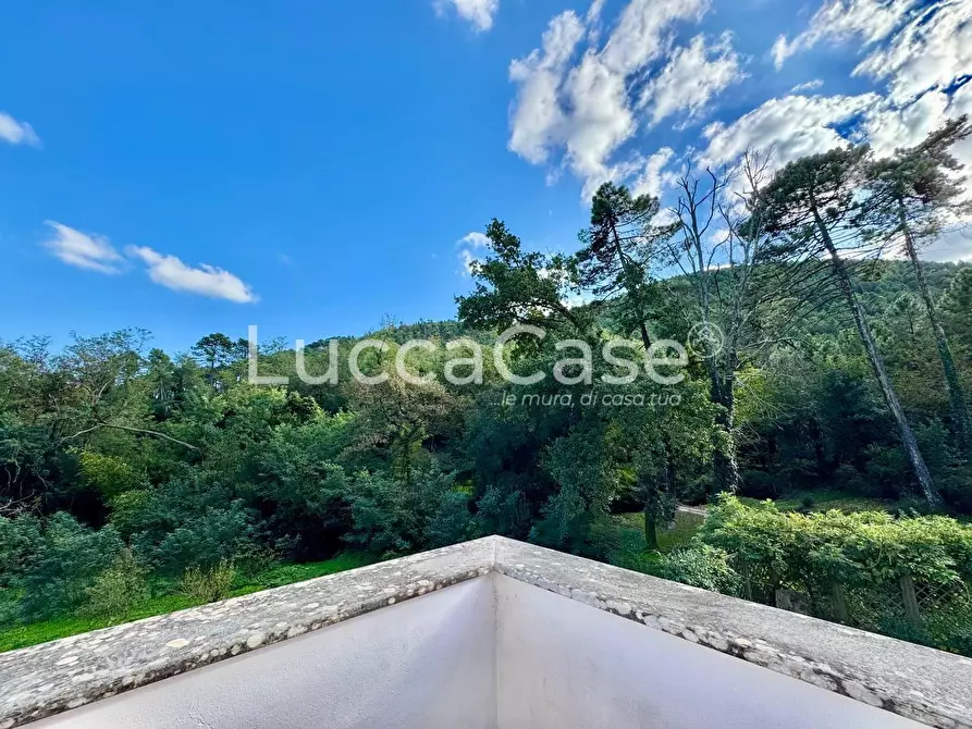 Immagine 51 di Villa in vendita  a Capannori