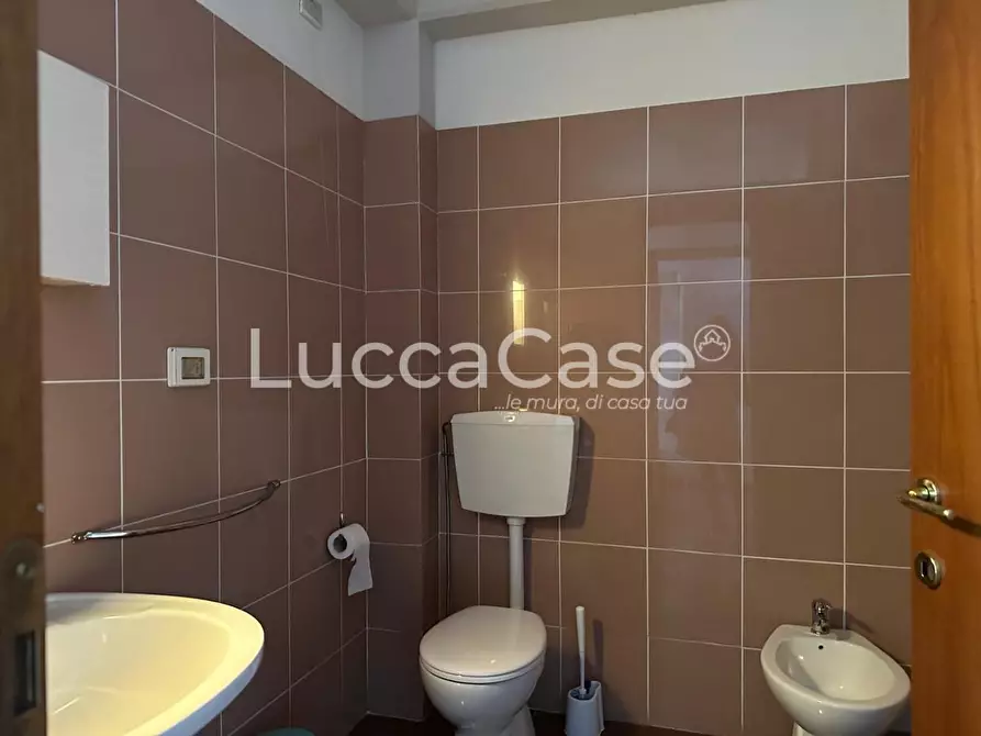 Immagine 7 di Ufficio in affitto  a Lucca