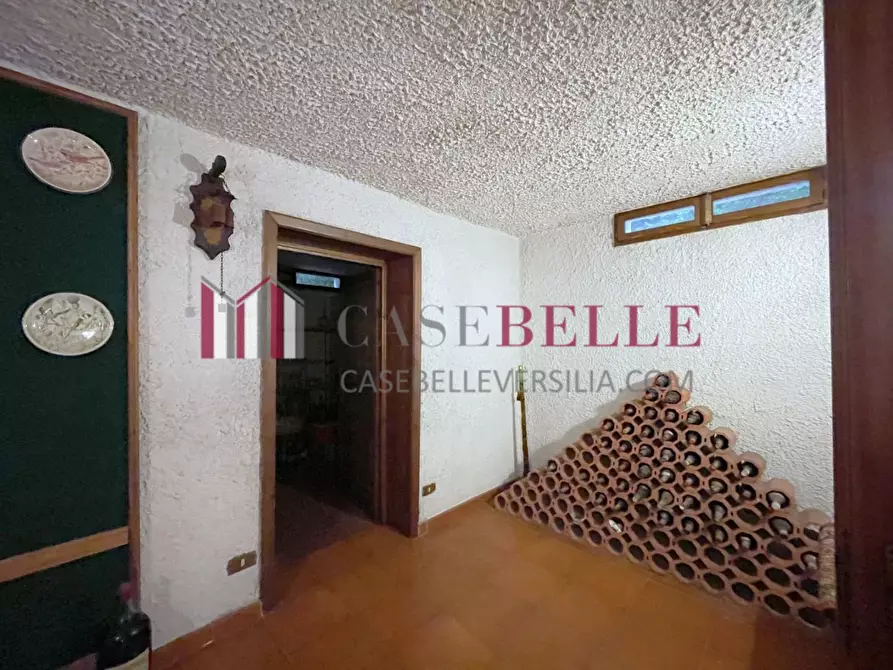 Immagine 46 di Casa indipendente in vendita  a Viareggio