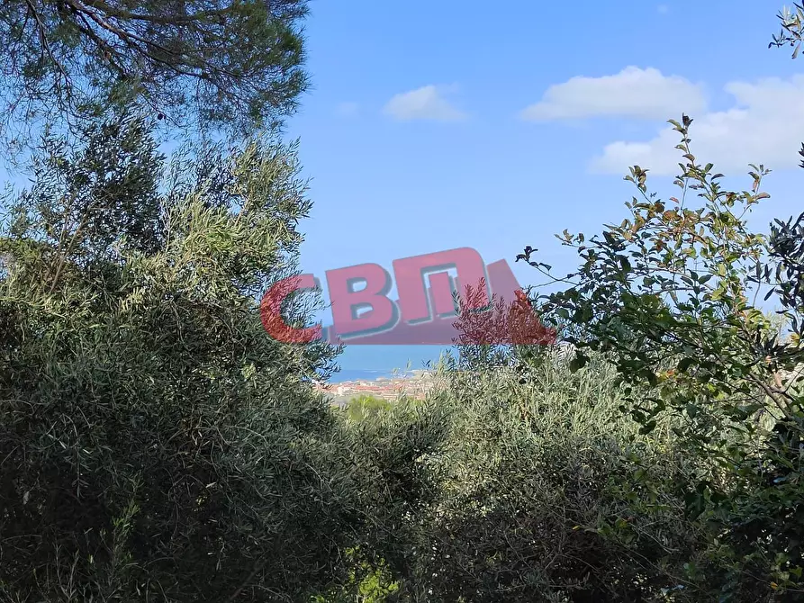 Immagine 36 di Villa in vendita  a Livorno