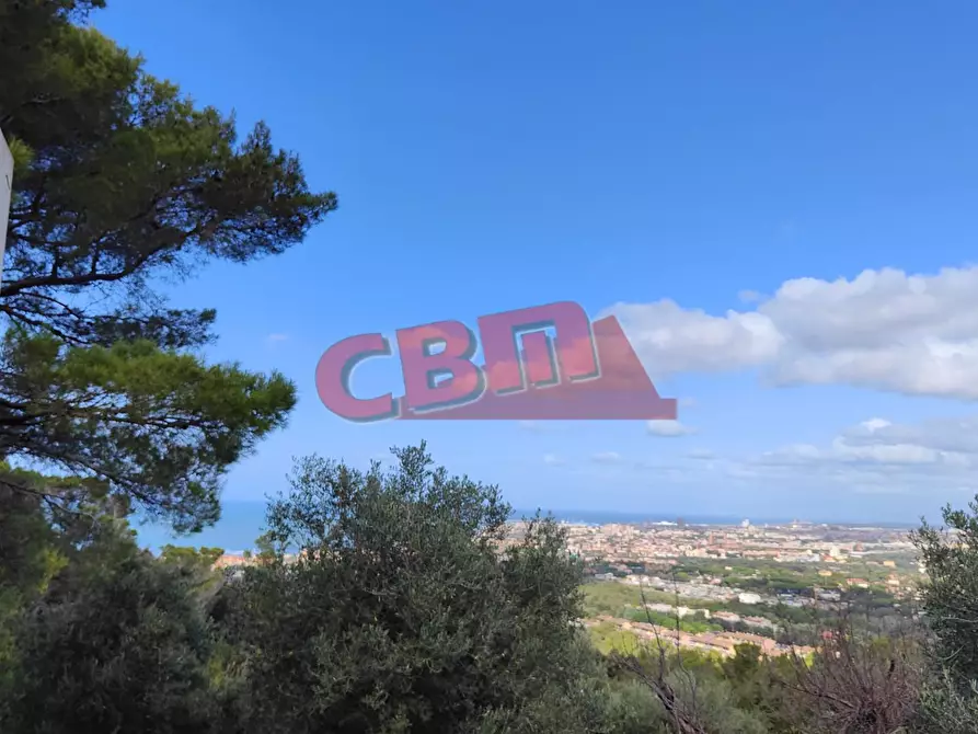 Immagine 37 di Villa in vendita  a Livorno