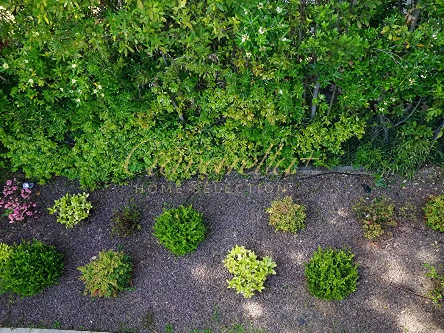 Immagine 2 di Villa in vendita  a Forte Dei Marmi