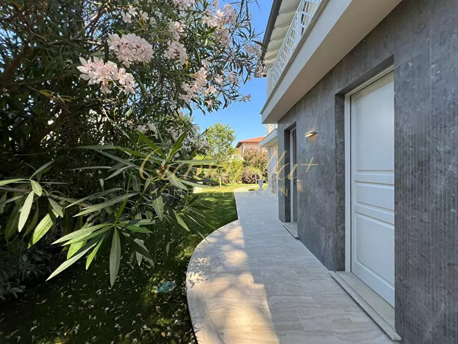 Immagine 4 di Villa in affitto  a Forte Dei Marmi