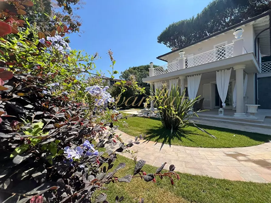 Immagine 1 di Villa in affitto  a Forte Dei Marmi