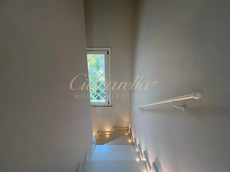 Immagine 32 di Villa in affitto  a Forte Dei Marmi