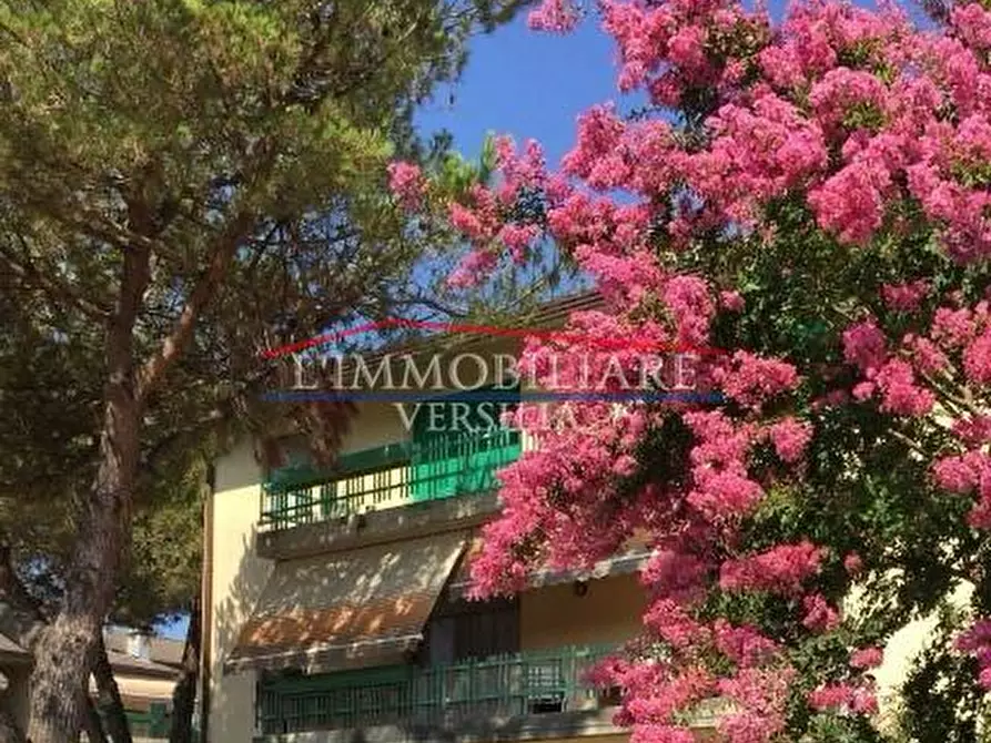 Immagine 13 di Appartamento in vendita  a Massa