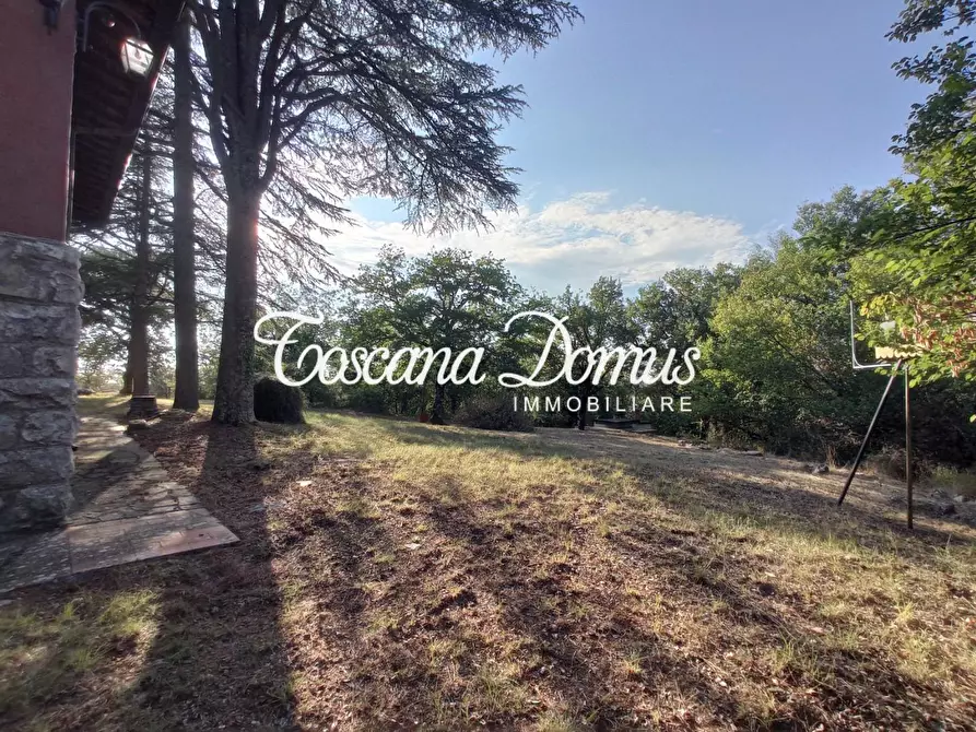 Immagine 33 di Villa in vendita  a Radda In Chianti