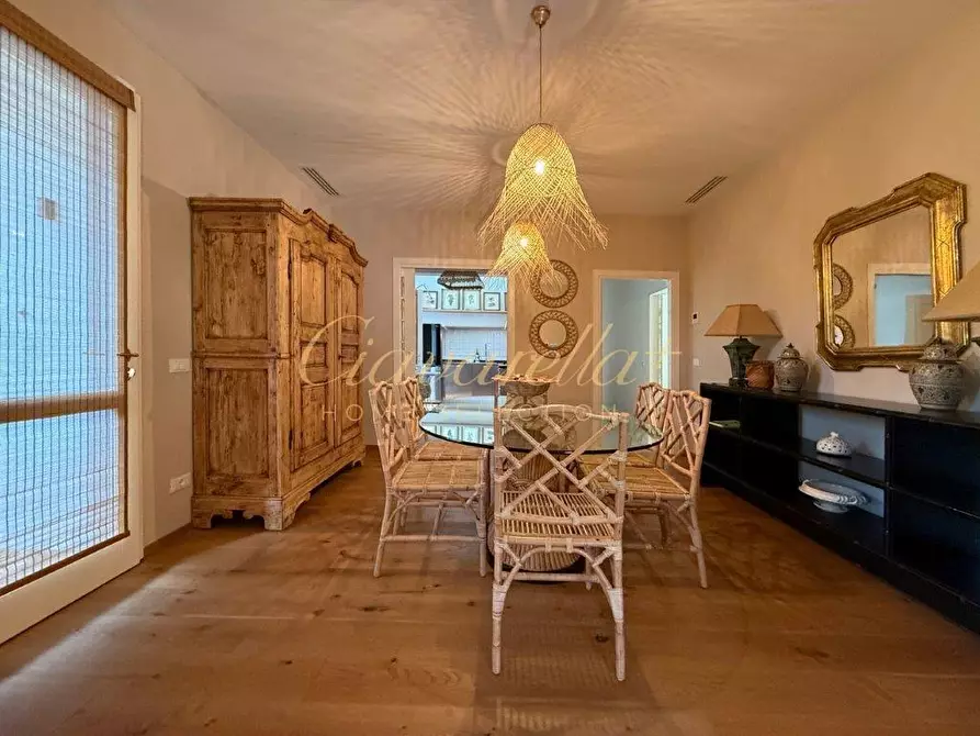 Immagine 15 di Villa in affitto  a Forte Dei Marmi