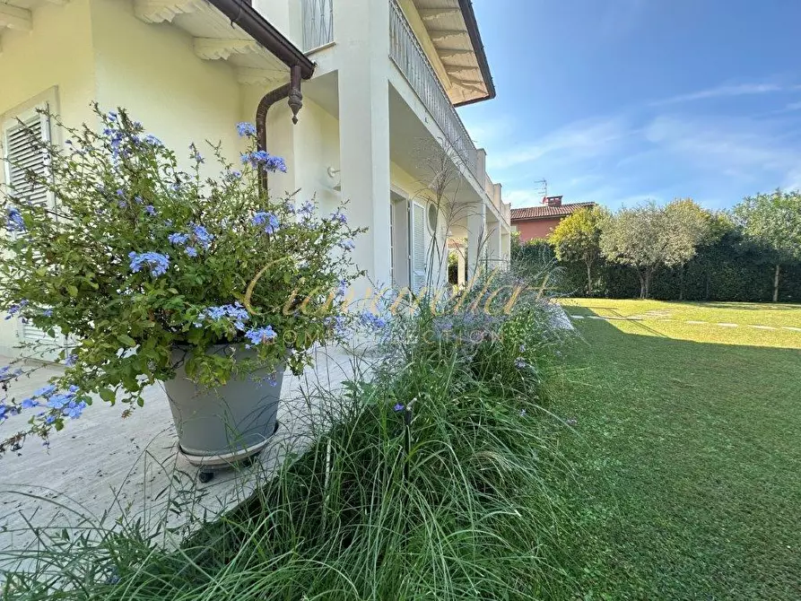 Immagine 11 di Villa in affitto  a Forte Dei Marmi