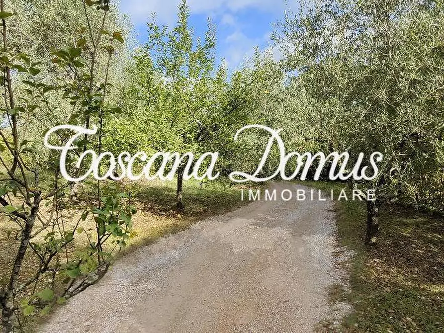 Immagine 4 di Appartamento in vendita  a Siena