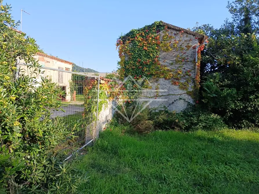 Immagine 6 di Villa in vendita  a Carrara