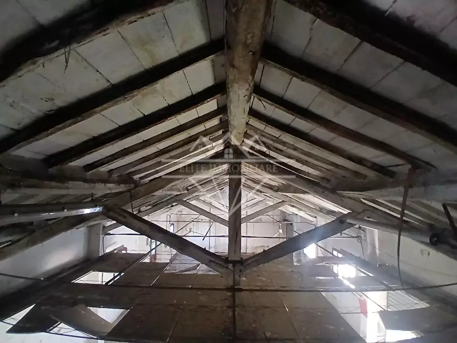 Immagine 7 di Villa in vendita  a Carrara