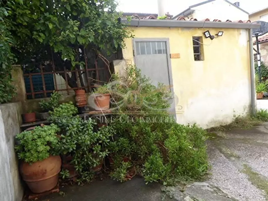 Immagine 3 di Terratetto in vendita  a Vecchiano