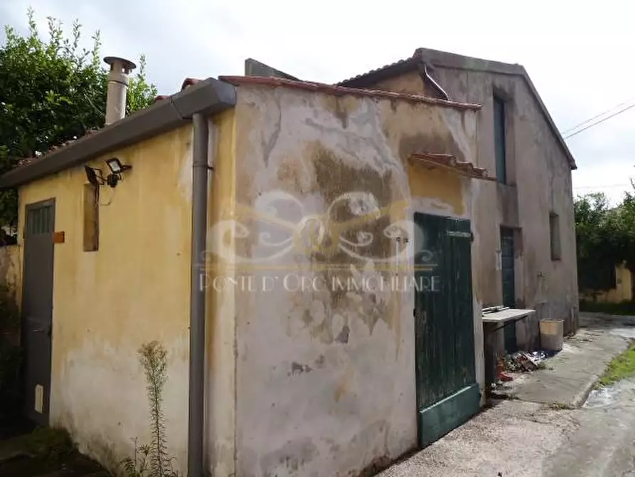 Immagine 4 di Terratetto in vendita  a Vecchiano