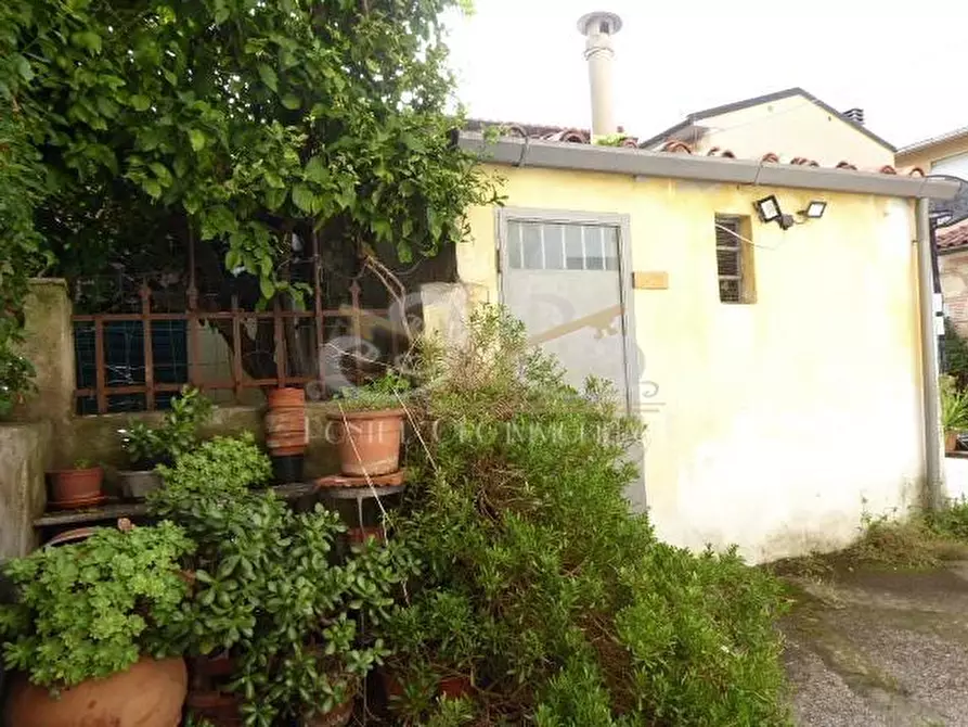 Immagine 6 di Terratetto in vendita  a Vecchiano