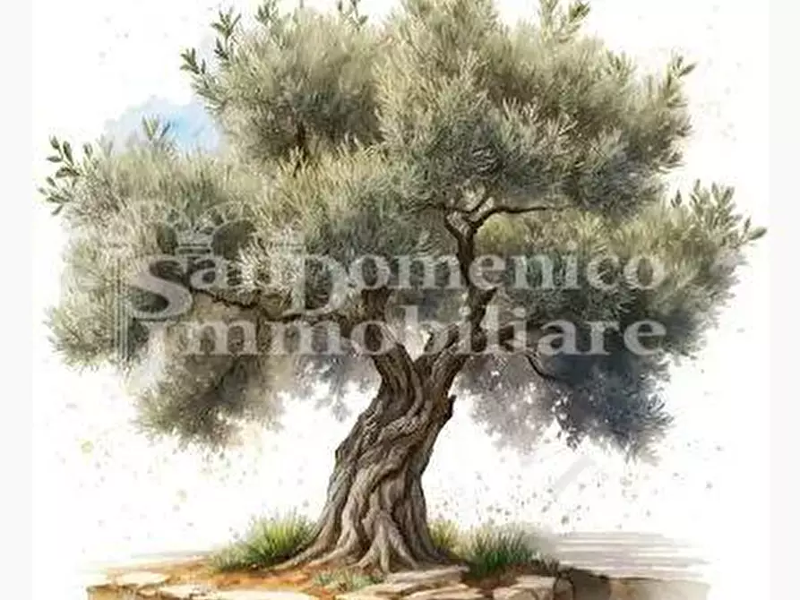 Immagine 1 di Terreno agricolo in vendita  a Calci