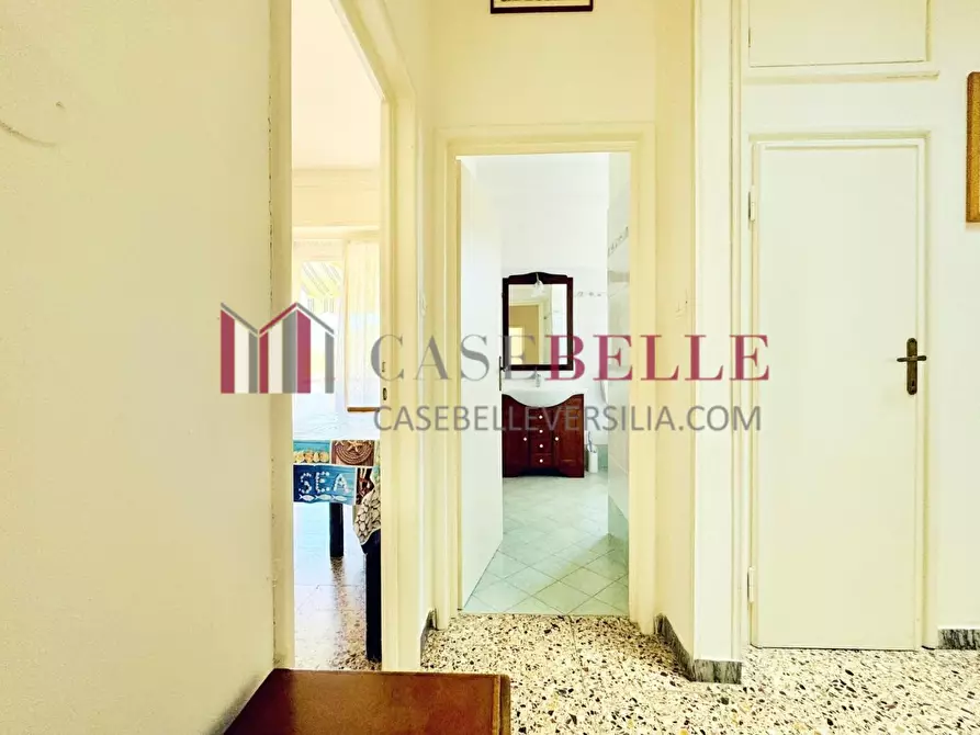 Immagine 21 di Appartamento in affitto  a Camaiore