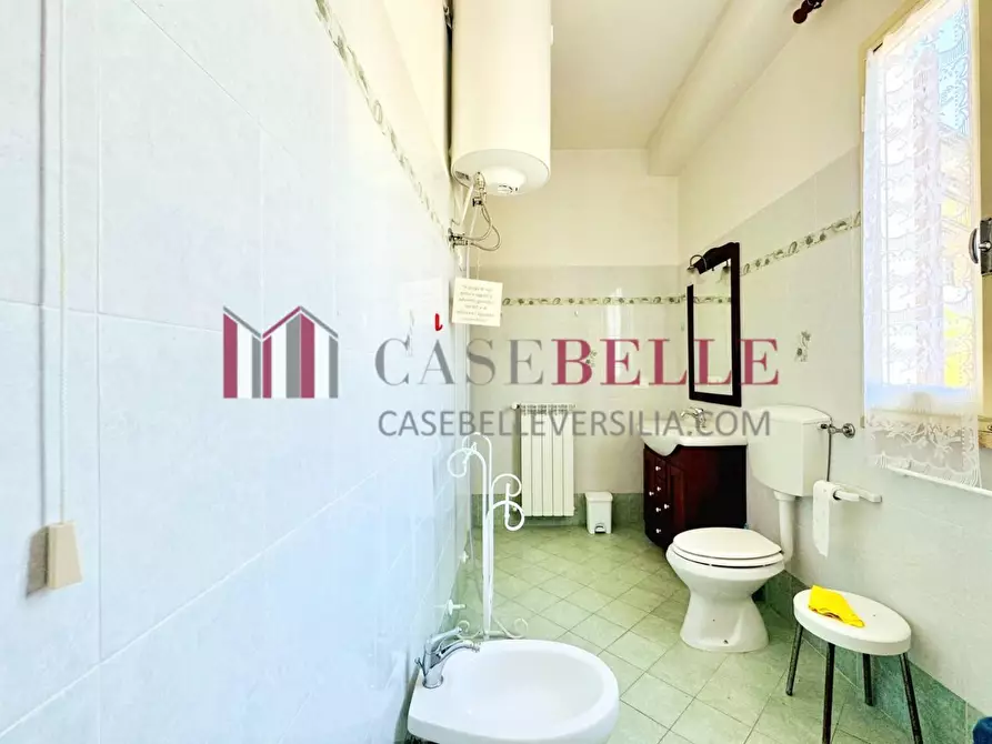 Immagine 24 di Appartamento in affitto  a Camaiore