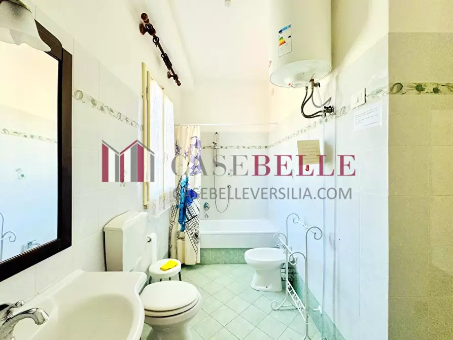 Immagine 23 di Appartamento in affitto  a Camaiore