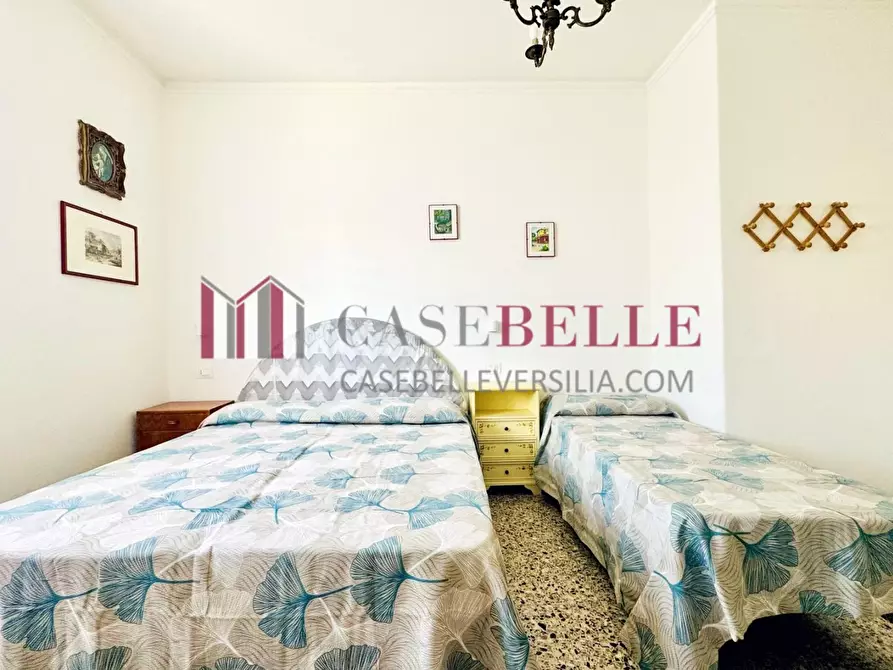 Immagine 15 di Appartamento in affitto  a Camaiore