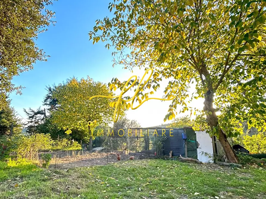 Immagine 14 di Casa indipendente in vendita  a Castellina Marittima
