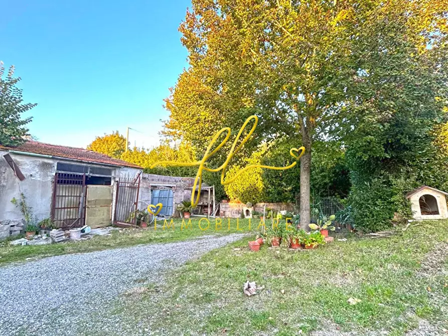 Immagine 20 di Casa indipendente in vendita  a Castellina Marittima